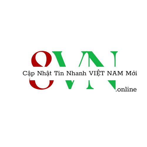 8vn.online